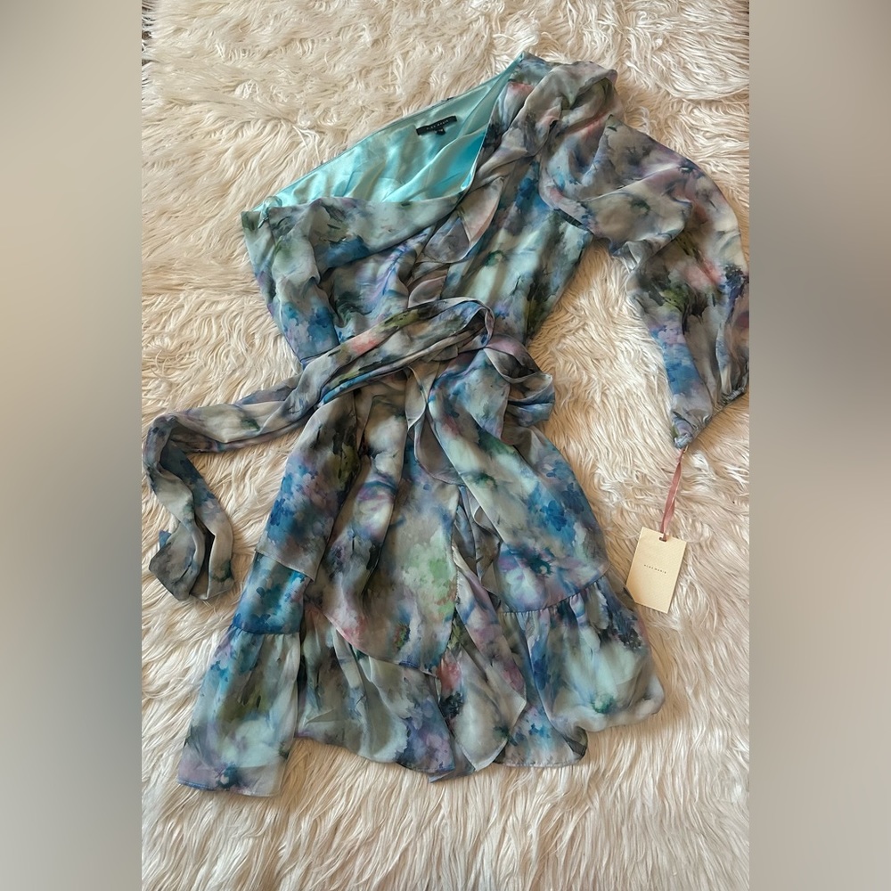 NWT! $220! Alex Marie Dress Floral Plus Size 22W Blue Multi Color